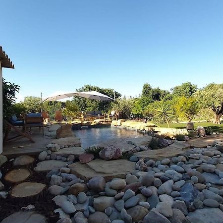 Une Oasis Au Pays De Cezanne Aix-en-Provence Exteriör bild