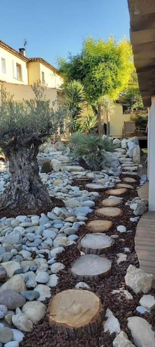 Une Oasis Au Pays De Cezanne Aix-en-Provence Exteriör bild