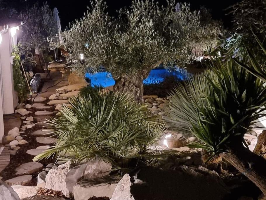 Une Oasis Au Pays De Cezanne Aix-en-Provence Exteriör bild