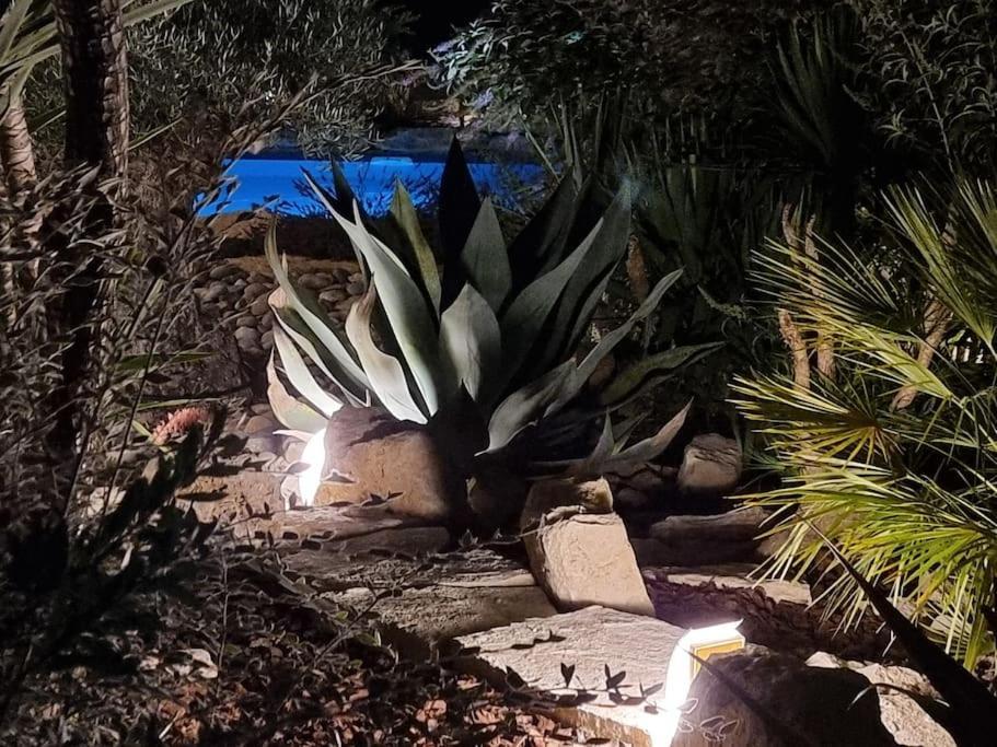 Une Oasis Au Pays De Cezanne Aix-en-Provence Exteriör bild